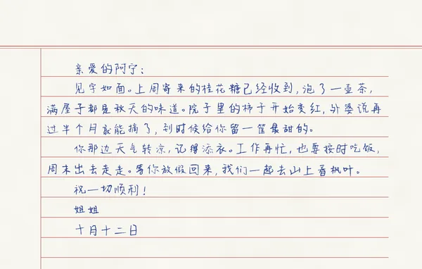 红色横线信纸上用蓝色笔写的一封手写家书，开头是「亲爱的阿宁：见字如面」，落款「姐姐，十月十二日」。